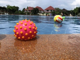 Play and Swim week activity