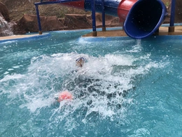 Play and Swim week activity