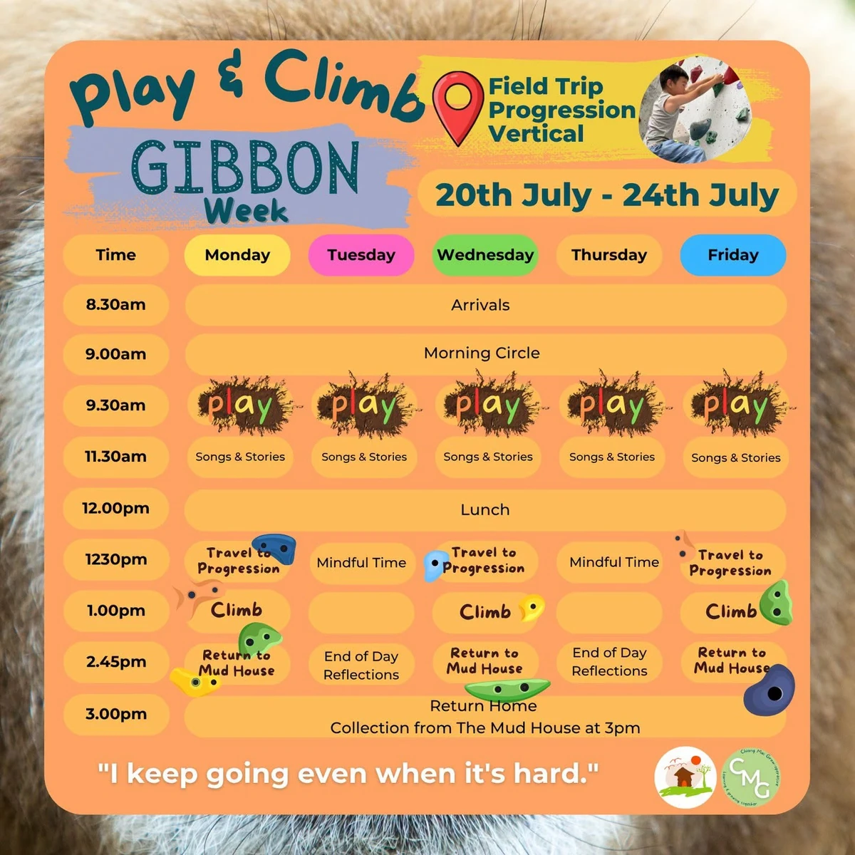 Play and Climb, Gibbon Week schedule, 20th to 24th July, field trip to Progression