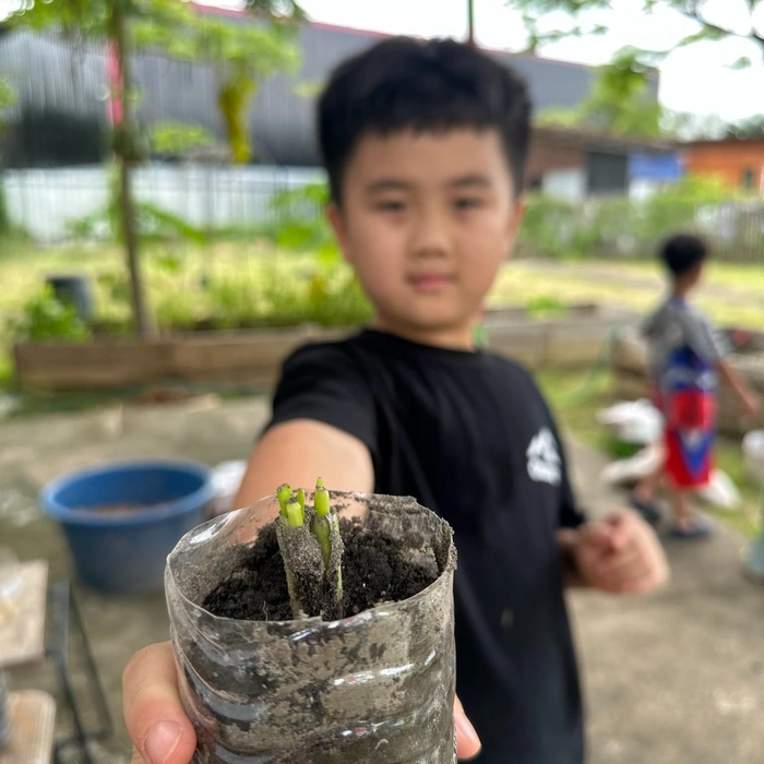 Play and Explore week activity