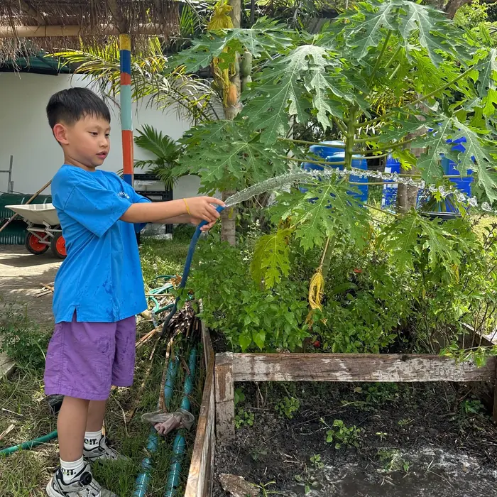 Play and Explore week activity