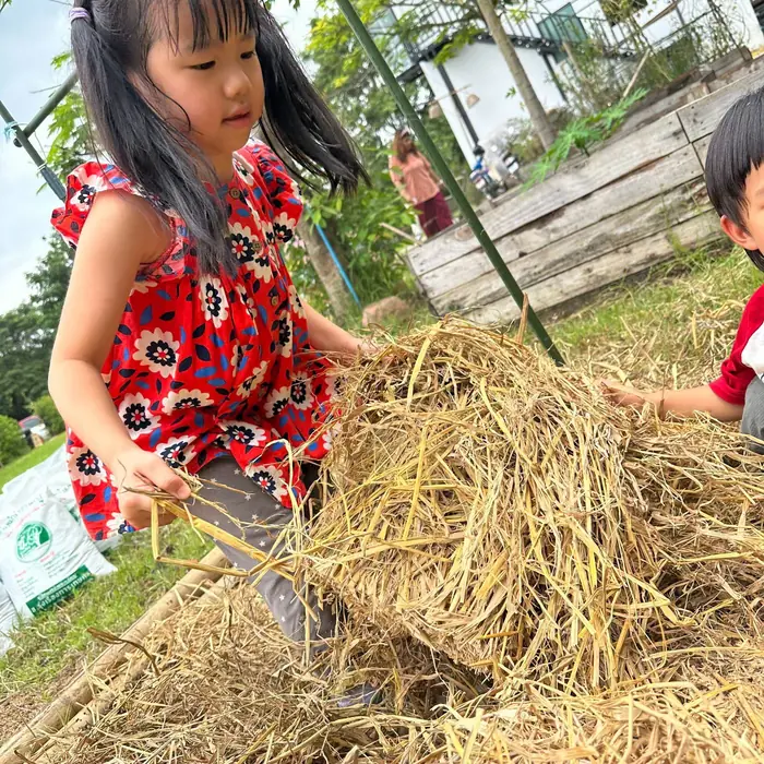 Play and Explore week activity