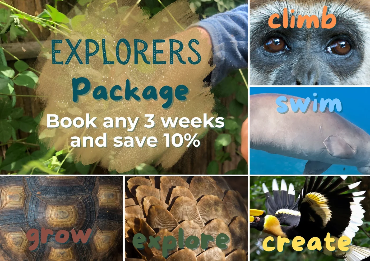 Find Your Wild package rates, book all 5 weeks and save 15 percent